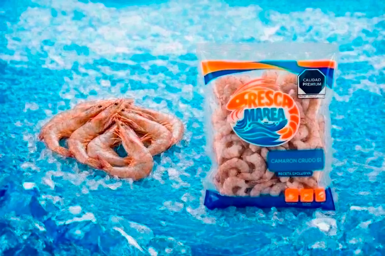 CAMARON CRUDO 61